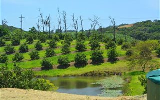 8.5 ha Farm with House in Munster
