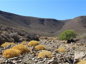 8788 ha Farm in Sutherland