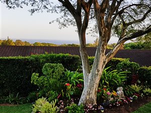 3 Bed Townhouse in Uvongo