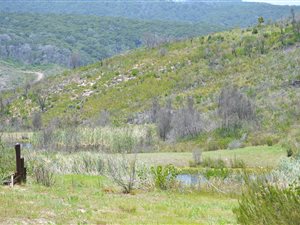 4793 m² Land available in Pezula Private Estate
