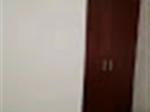 1 Bed Garden Cottage in Blairgowrie