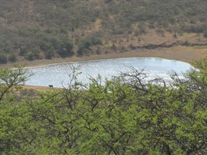 510 ha Farm in Komga