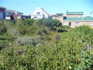 684 m² Land available in Franskraal
