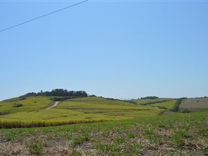 165 ha Farm in Stanger