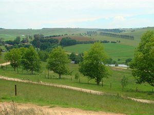 3311 m² Land available in Underberg