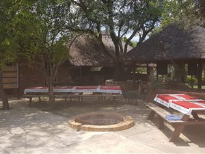 21 ha Farm in Derdepoort