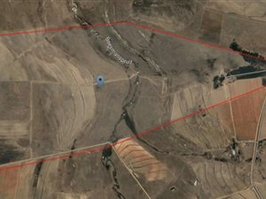 281.3 ha Farm in Carolina