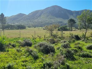 10 ha Farm in Rocklands