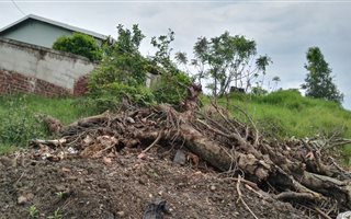 1453 m² Land available in Effingham