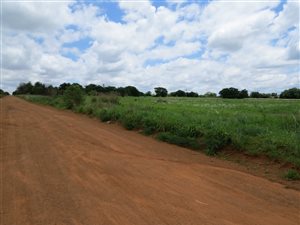 8.5 ha Farm in Lusthof