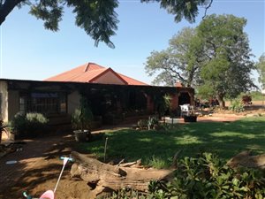 Farm in Louis Trichardt