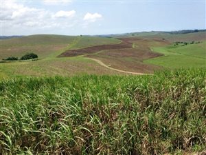 38 ha Farm in Ballito