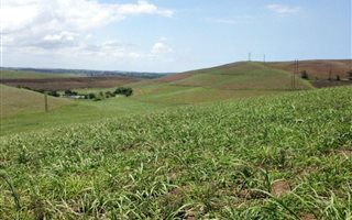 38 ha Farm in Ballito