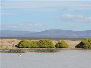 2856 ha Farm in Ceres
