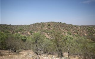 21 ha Land available in Parsons Game Reserve