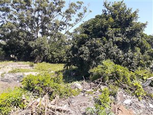 1180 m² Land available in Shakaskraal