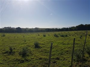 37 ha Farm in Hansmoeskraal
