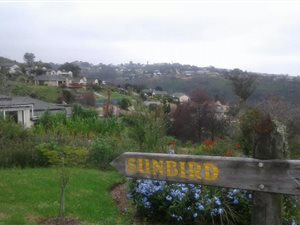 1062 m² Land available in Eastford Glen