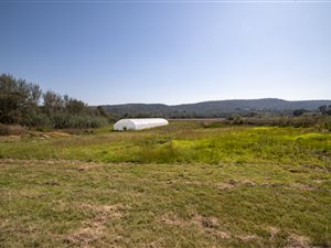5 ha Farm in Magaliesburg