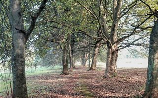 14.4 ha Land available in Alverstone