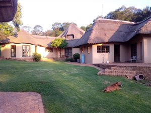 2.2 ha Farm in Bapsfontein