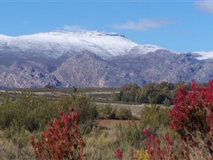 140 ha Farm in Ceres