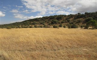 657.5 ha Farm in Brandfort