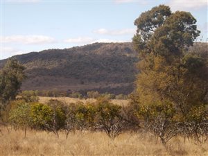 619 ha Farm in Loskop Dam