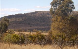 619 ha Farm in Loskop Dam