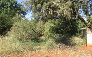 1 Bedroom Apartment in Mookgophong (Naboomspruit)