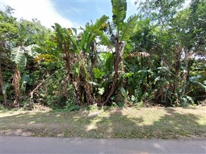 1134 m² Land available in Leisure Bay