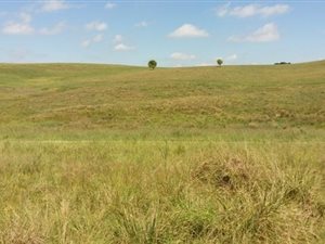 2530 m² Land available in Nottingham Road