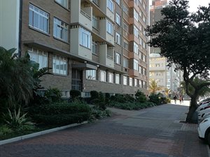 Bachelor apartment in North Beach