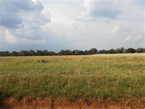 1.2 ha Land available in De Deur