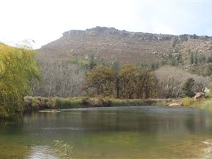 869 ha Farm in Ceres