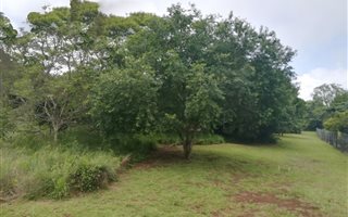 7190 m² Land available in Forest Hills