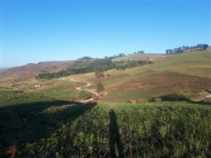 7.6 ha Land available in Currys Post