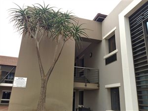 136 m² Commercial space in Hazeldean (Silverlakes Surroundings)