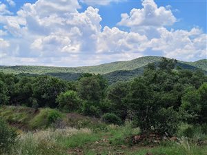 Farm in Olifantsnek
