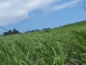 2.9 ha Farm in Ballito