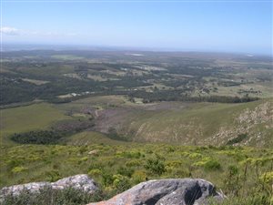 98.7 ha Farm in Seaview