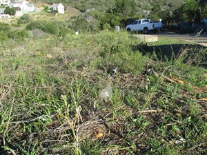 1100 m² Land available in Island View