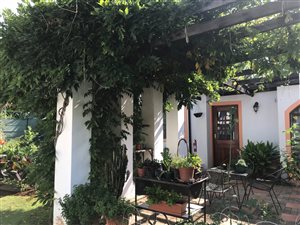 1 Bed Apartment in Colbyn