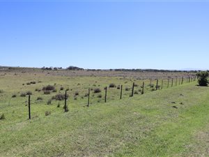 9 ha Farm in Jeffreys Bay