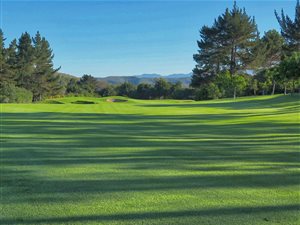 1358 m² Land available in Goose Valley Golf Estate