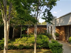 3 Bed House in Colbyn