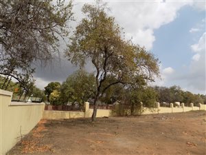 304 m² Land available in Phalaborwa
