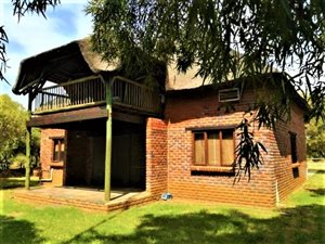 142 ha Farm in Koster