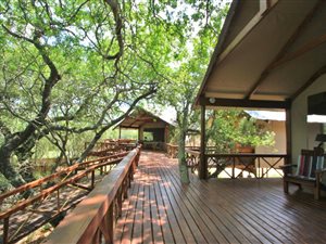 21 ha Farm in Hoedspruit