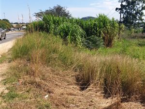 1.1 ha Land available in Rocky Drift